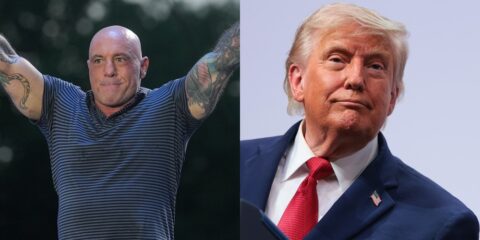 Joe Rogan Reveals Donald Trump's Shocking Response 2 joe rogan