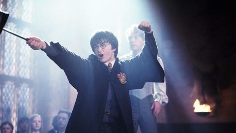 harry potter tv show